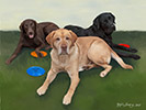 Trio-of-Labs_website